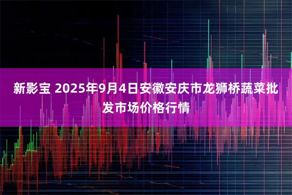 新影宝 2025年9月4日安徽安庆市龙狮桥蔬菜批发市场价格行情