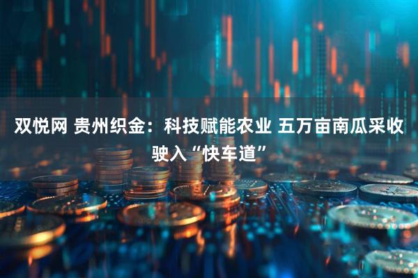双悦网 贵州织金：科技赋能农业 五万亩南瓜采收驶入“快车道”