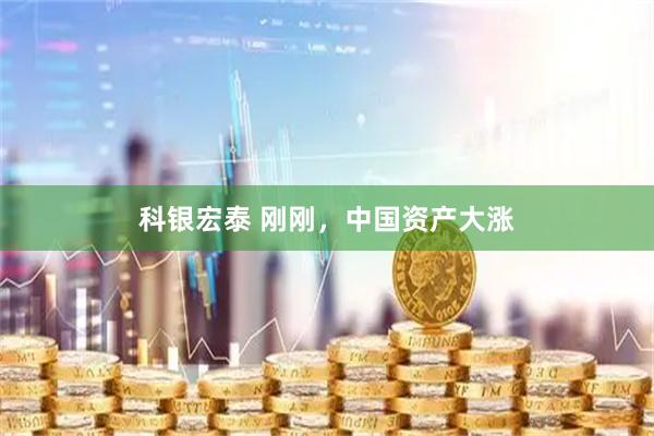 科银宏泰 刚刚，中国资产大涨
