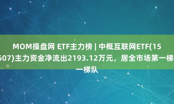 MOM操盘网 ETF主力榜 | 中概互联网ETF(159607)主力资金净流出2193.12万元，居全市场第一梯队