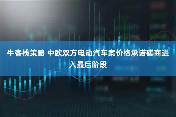 牛客栈策略 中欧双方电动汽车案价格承诺磋商进入最后阶段