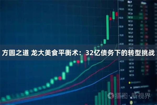 方圆之道 龙大美食平衡术：32亿债务下的转型挑战