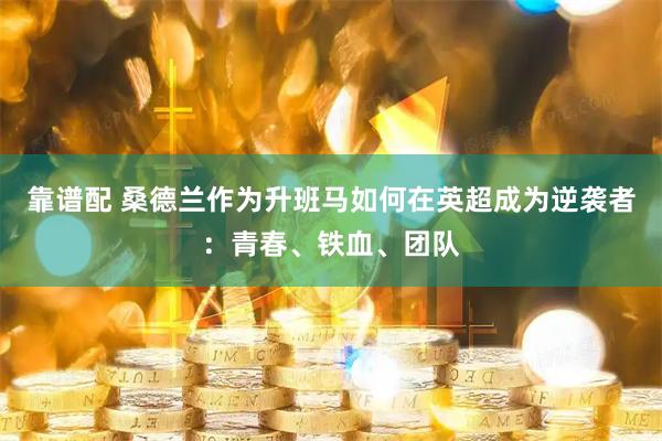 靠谱配 桑德兰作为升班马如何在英超成为逆袭者：青春、铁血、团队